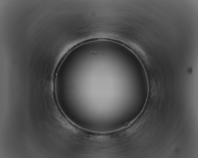 X0000093461280200710191116