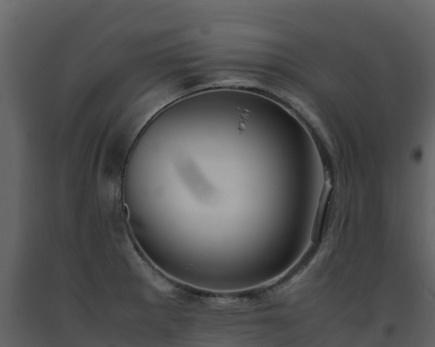 X0000093461281200710191116