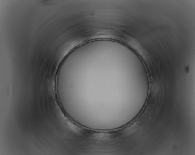 X0000093461282200710191116