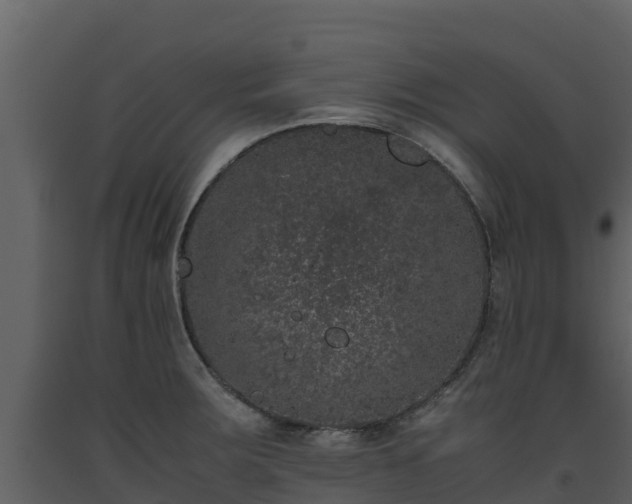 X0000093461283200710191116