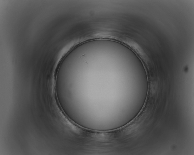 X0000093461286200710191116