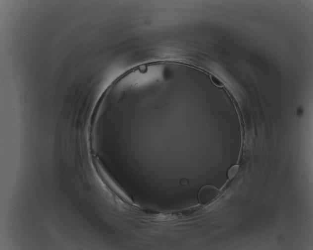 X0000093461291200710191116