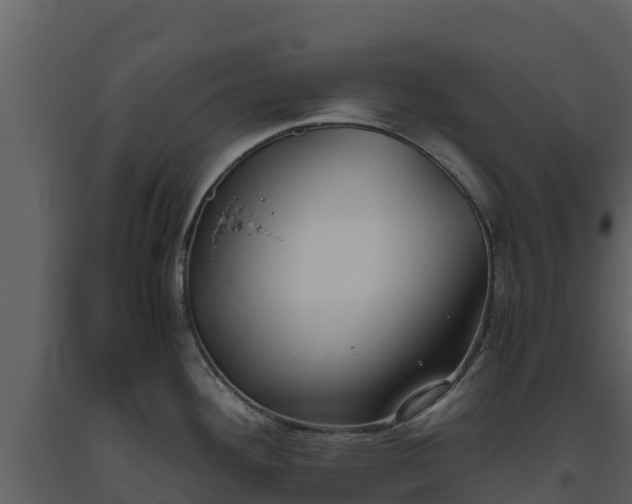 X0000093461292200710191116