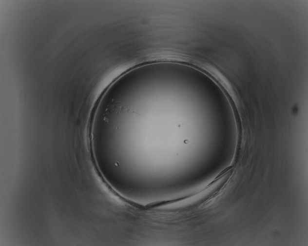 X0000093461293200710191116