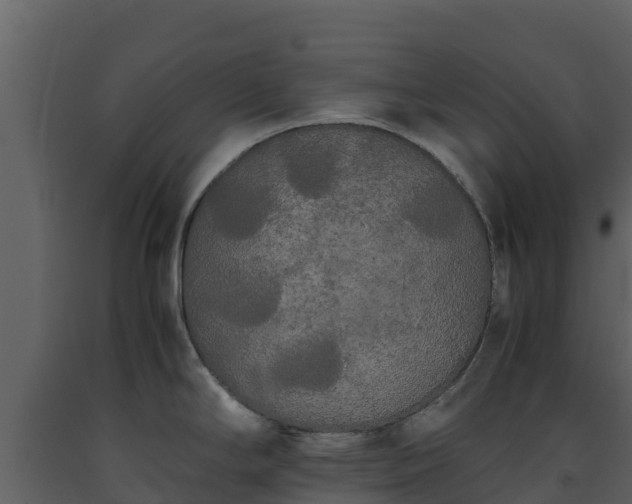 X0000093461294200710191116