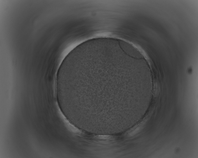 X0000093461295200710191116