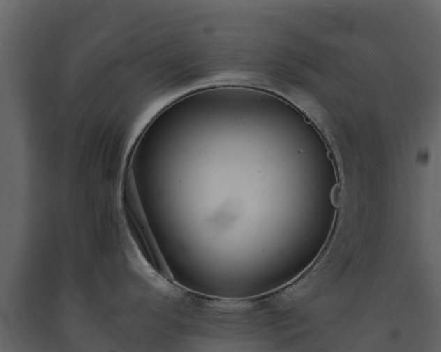 X0000093461296200710191116