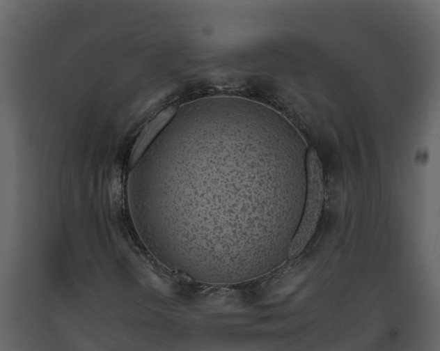 X0000093461298200710191115