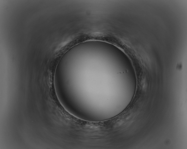 X0000093461301200710191115