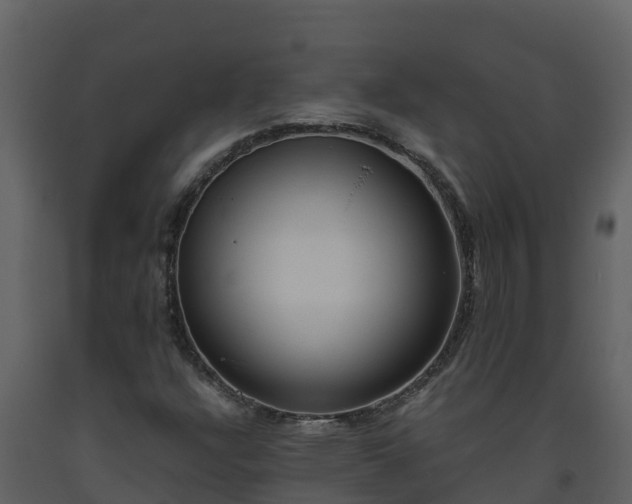 X0000093461304200710191116