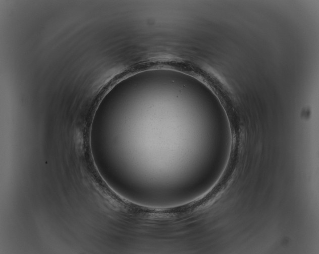 X0000093461305200710191116