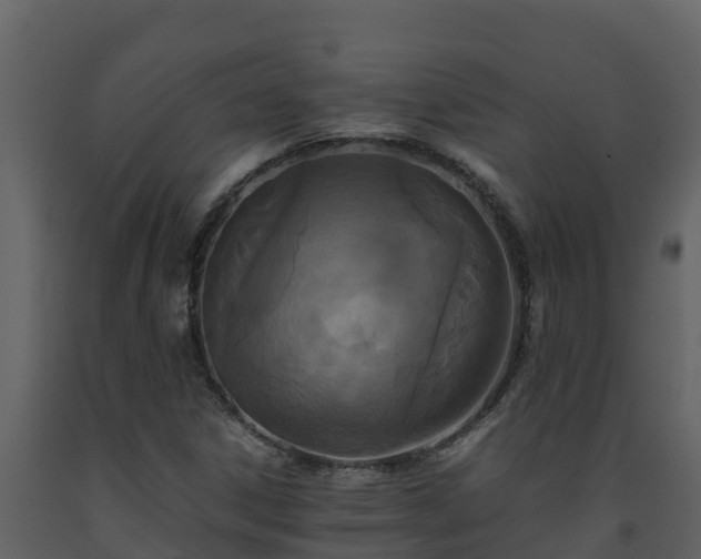 X0000093461306200710191116