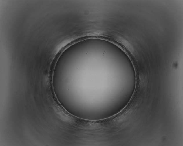 X0000093461308200710191116