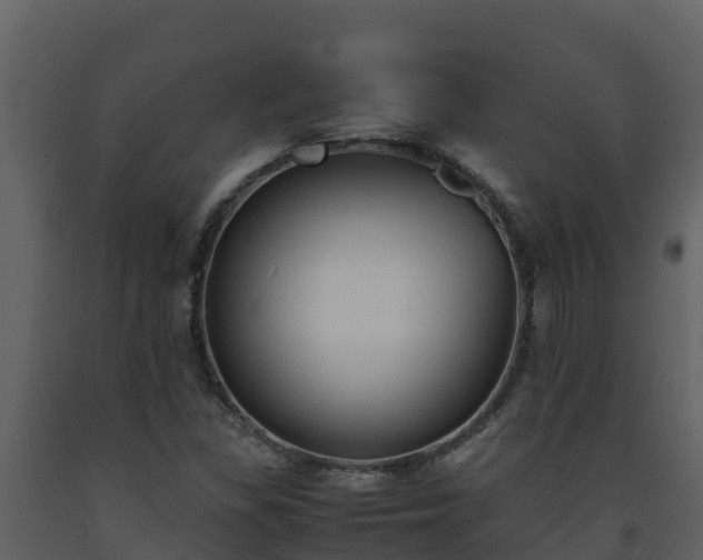 X0000093461309200710191116