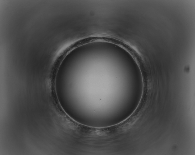 X0000093461311200710191116