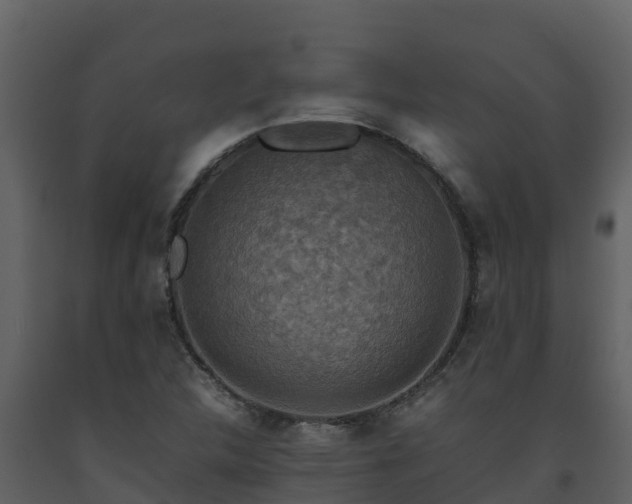 X0000093461312200710191116