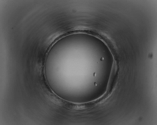 X0000093461313200710191116