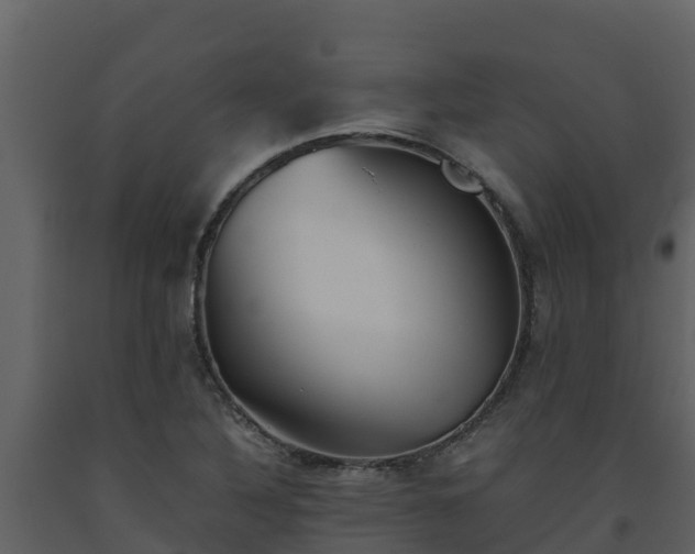 X0000093461316200710191116