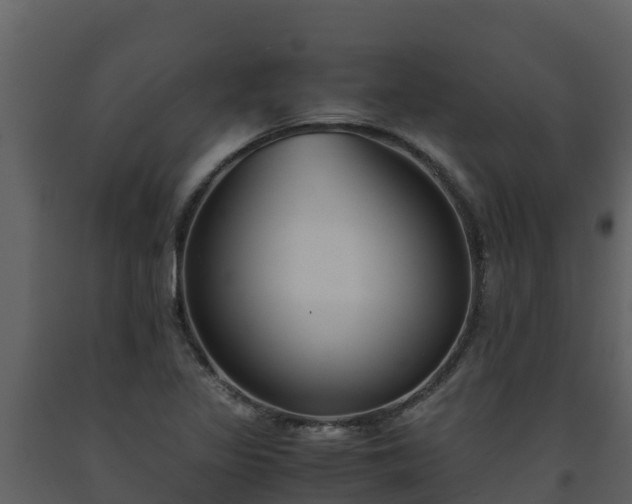 X0000093461317200710191116