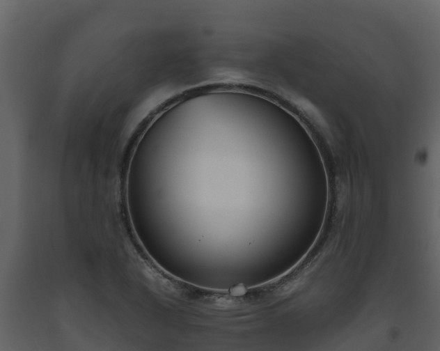 X0000093461318200710191116