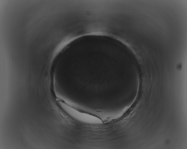 X0000093461319200710191116