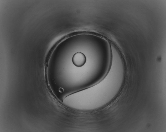 X0000093461320200710191116