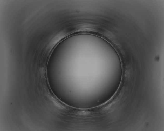 X0000093461321200710191116