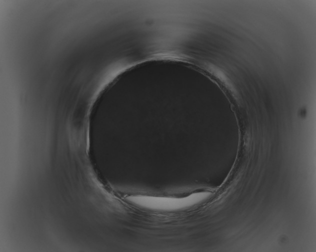 X0000093461323200710191116