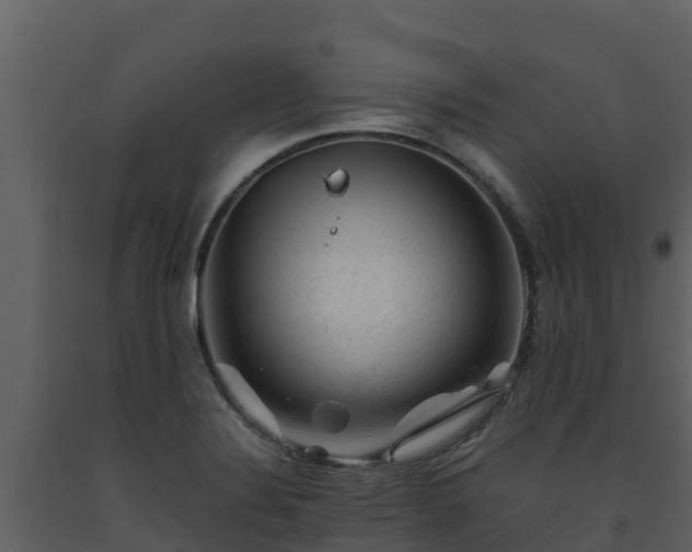 X0000093461324200710191116