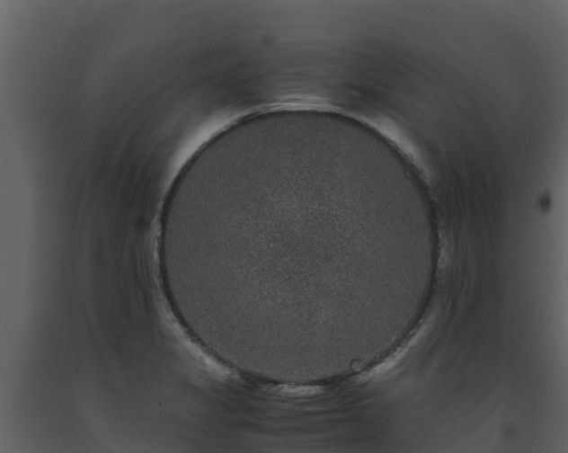 X0000093461325200710191116