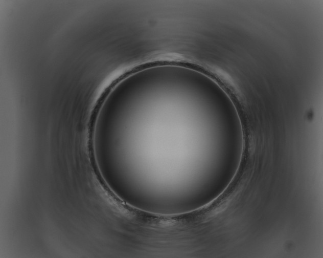 X0000093461326200710191116