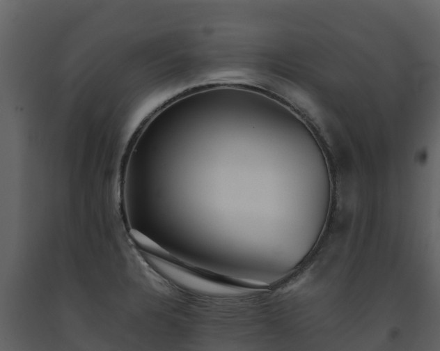 X0000093461328200710191116