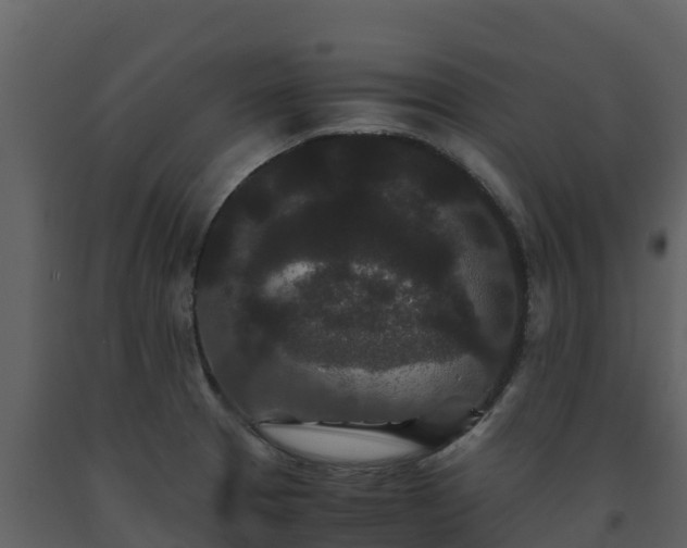 X0000093461329200710191116