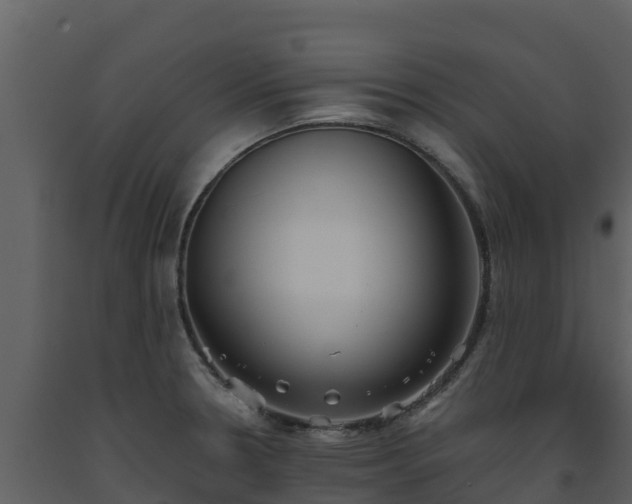 X0000093461330200710191116