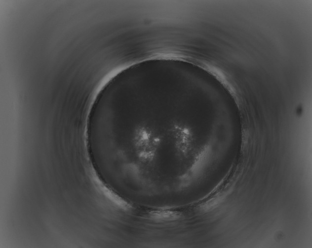 X0000093461331200710191116