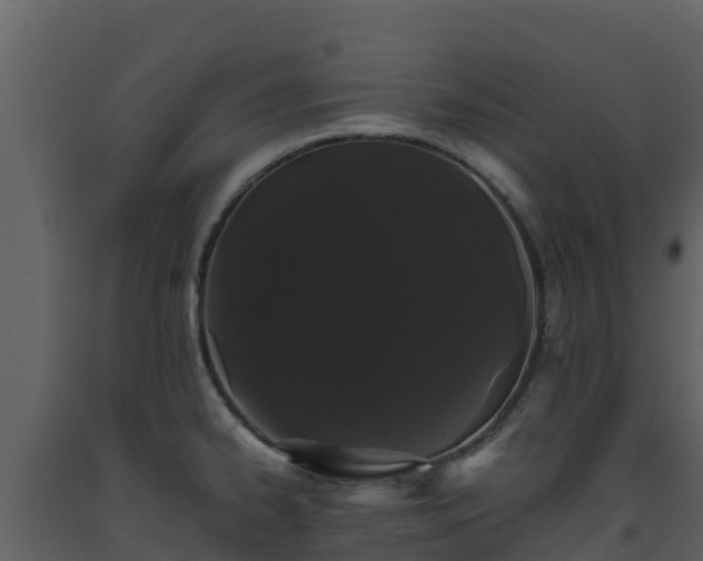 X0000093461334200710191116