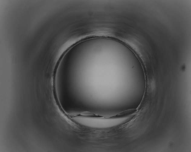 X0000093461335200710191116