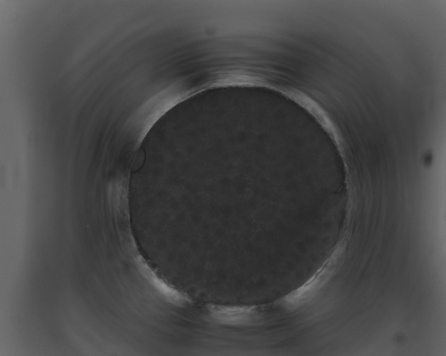 X0000093461337200710191116