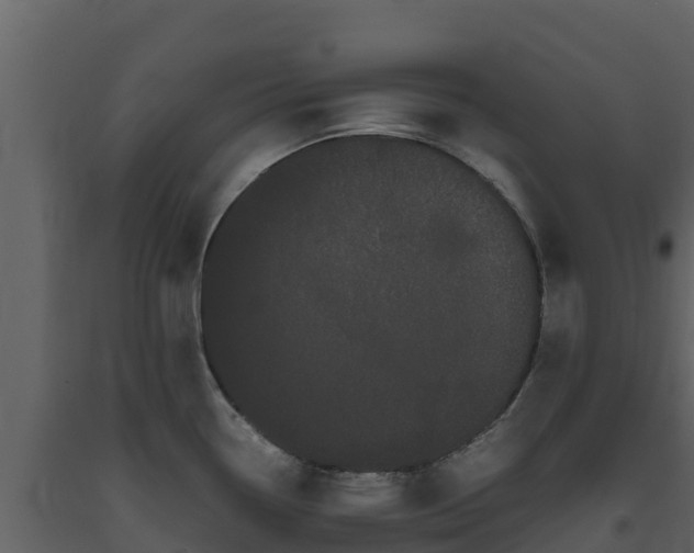 X0000093461338200710191116