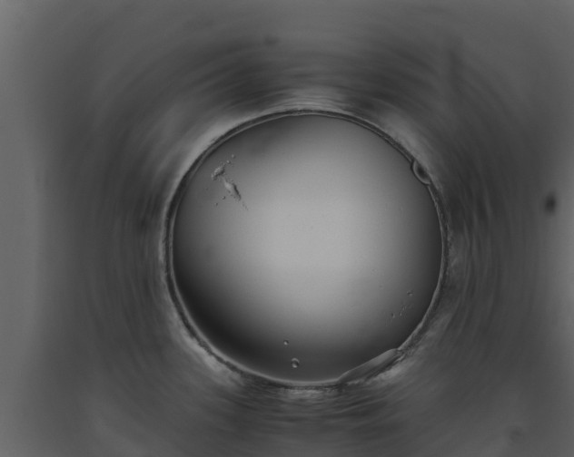 X0000093461339200710191116