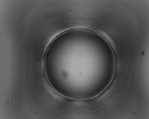 X0000093461340200710191116