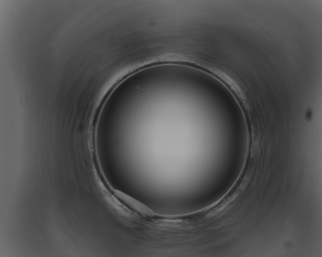 X0000093461342200710191116