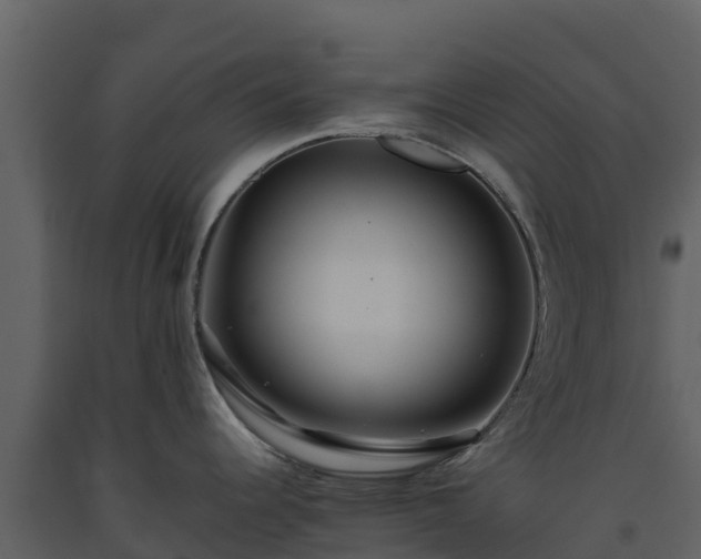 X0000093461344200710191116