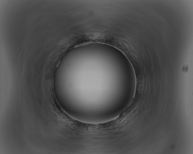 X0000093461345200710191115