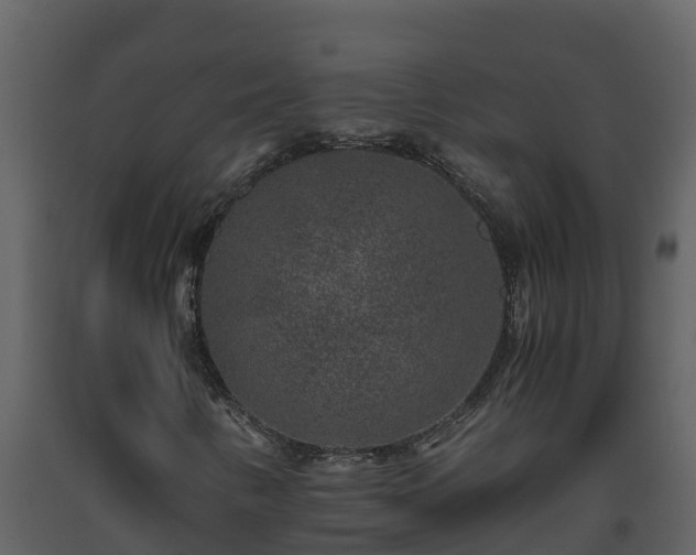 X0000093461346200710191115