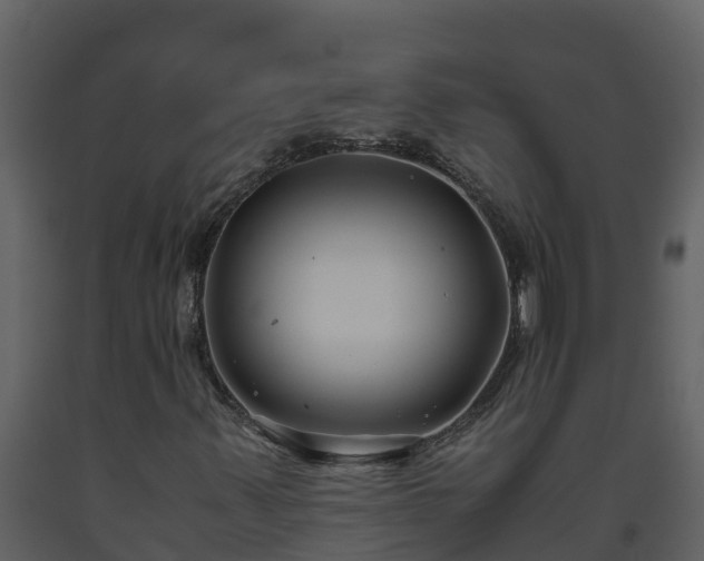 X0000093461347200710191115