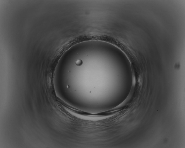 X0000093461348200710191115