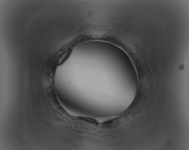 X0000093461349200710191115