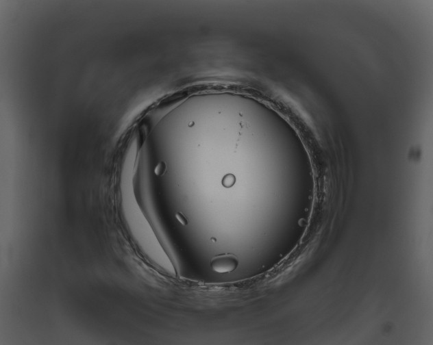 X0000093461352200710191115