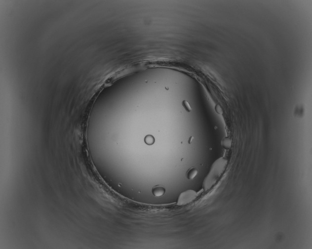 X0000093461353200710191115